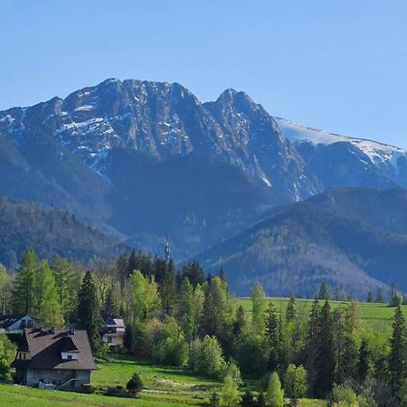 Appartamento Marol Wynajem Pokoi Zakopane Esterno foto