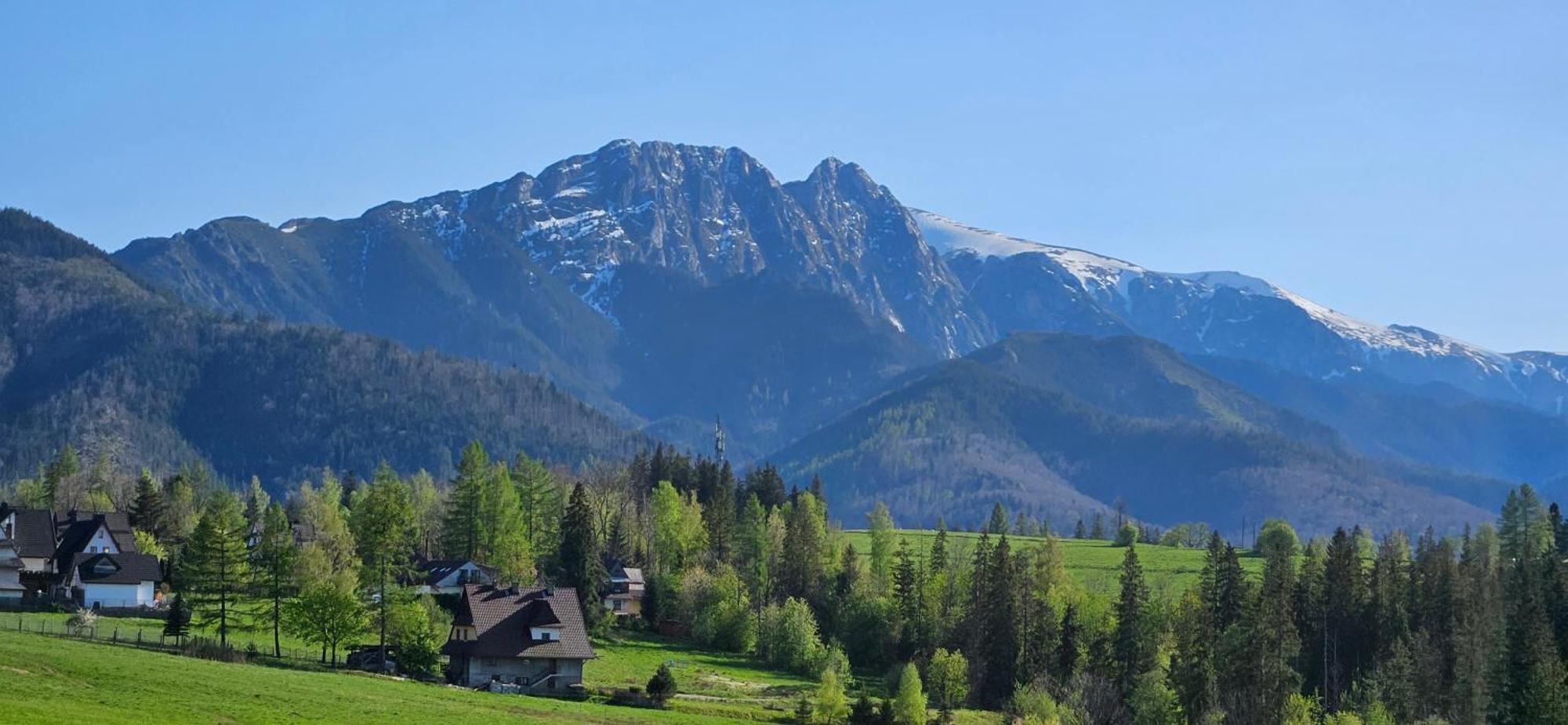 Appartamento Marol Wynajem Pokoi Zakopane Esterno foto