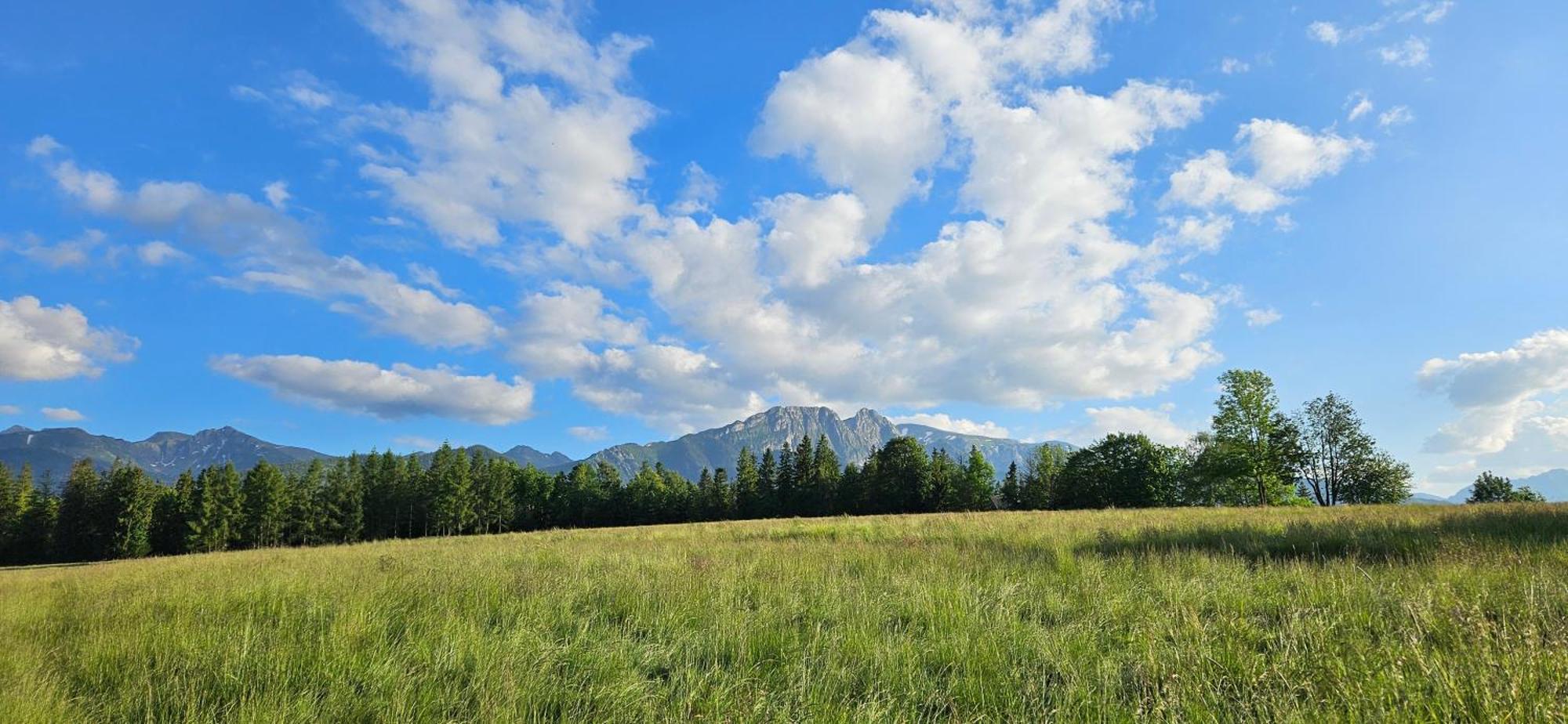 Appartamento Marol Wynajem Pokoi Zakopane Esterno foto