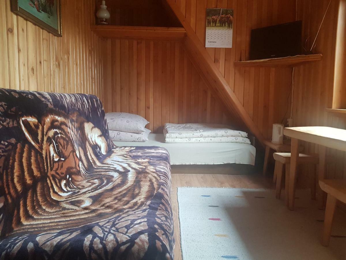 Appartamento Marol Wynajem Pokoi Zakopane Esterno foto
